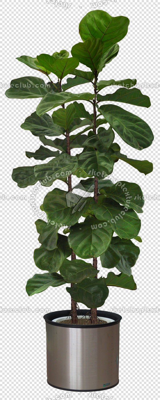 CUT OUT POT PLANTS PACK 1 00016 - pixel 560 x 1400