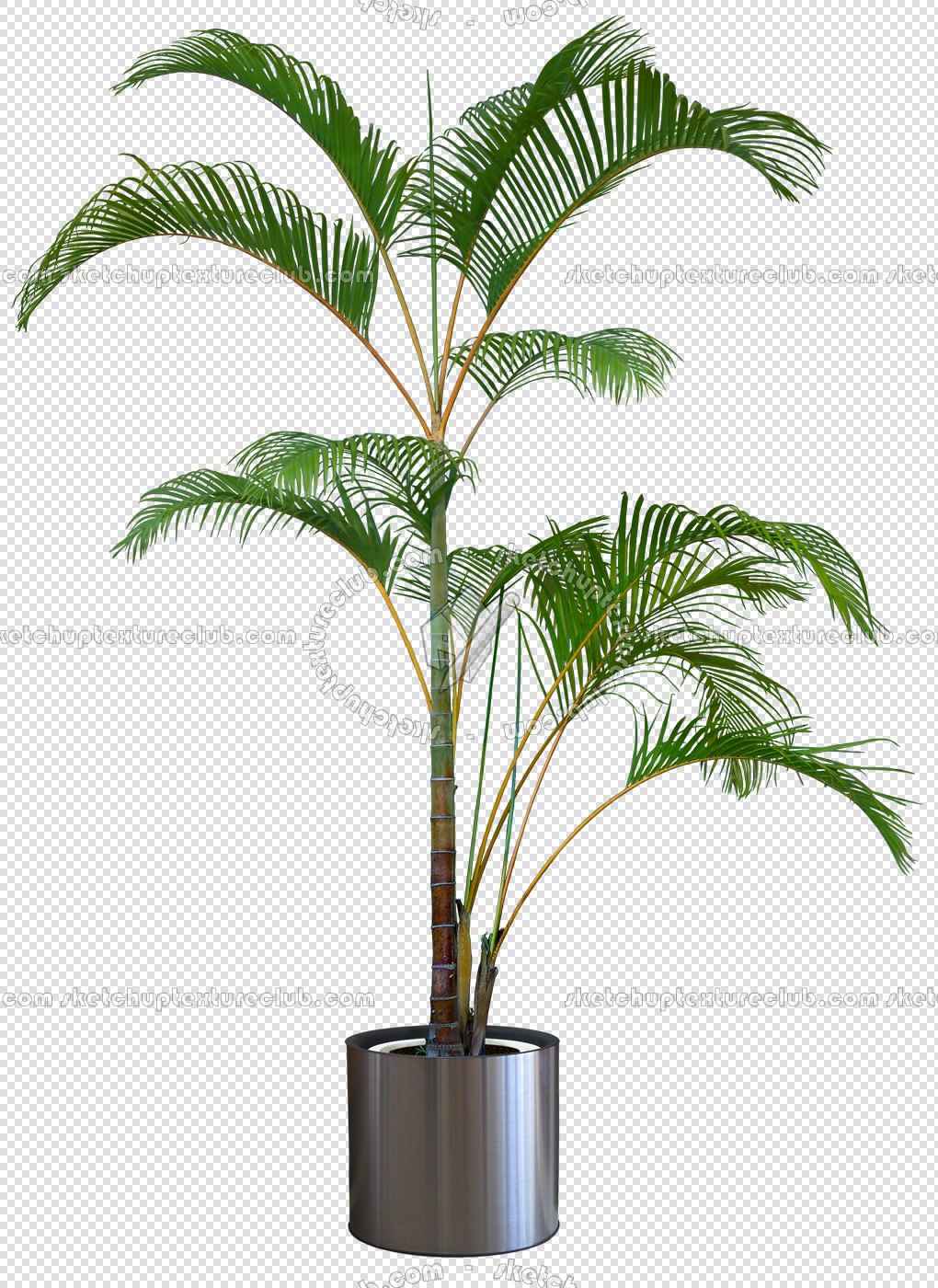 Packs - CUT OUT - Vegetation - Pot Plants - CUT OUT POT PLANTS PACK 1 00016
