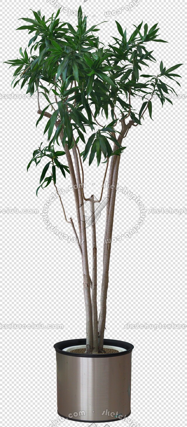 CUT OUT POT PLANTS PACK 2 00017 - pixel 640 x 1460