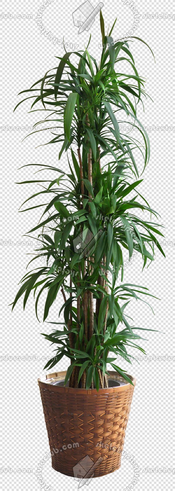 CUT OUT POT PLANTS PACK 2 00017 - pixel 600 x 1680