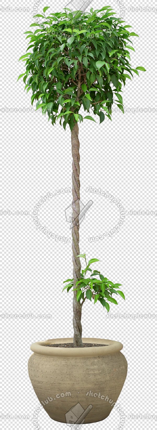 CUT OUT POT PLANTS PACK 2 00017 - pixel 600 x 1640