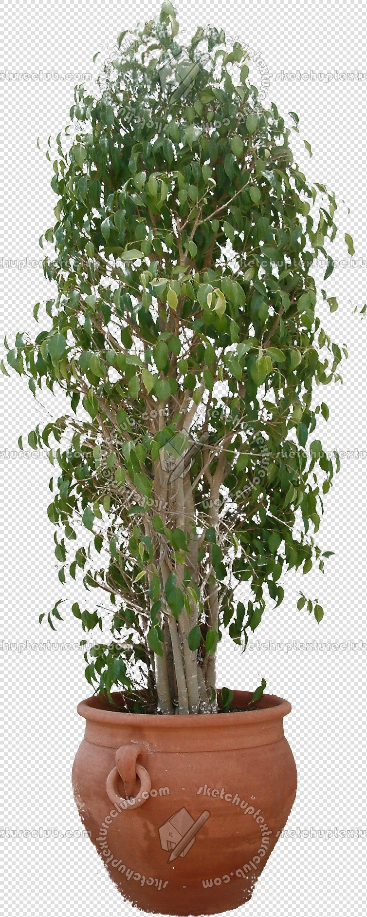 CUT OUT POT PLANTS PACK 2 00017 - pixel 754 x 1882