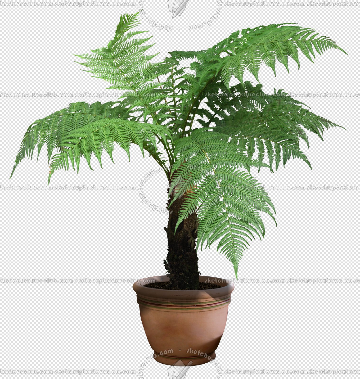 CUT OUT POT PLANTS PACK 2 00017 - pixel 1520 x 1600