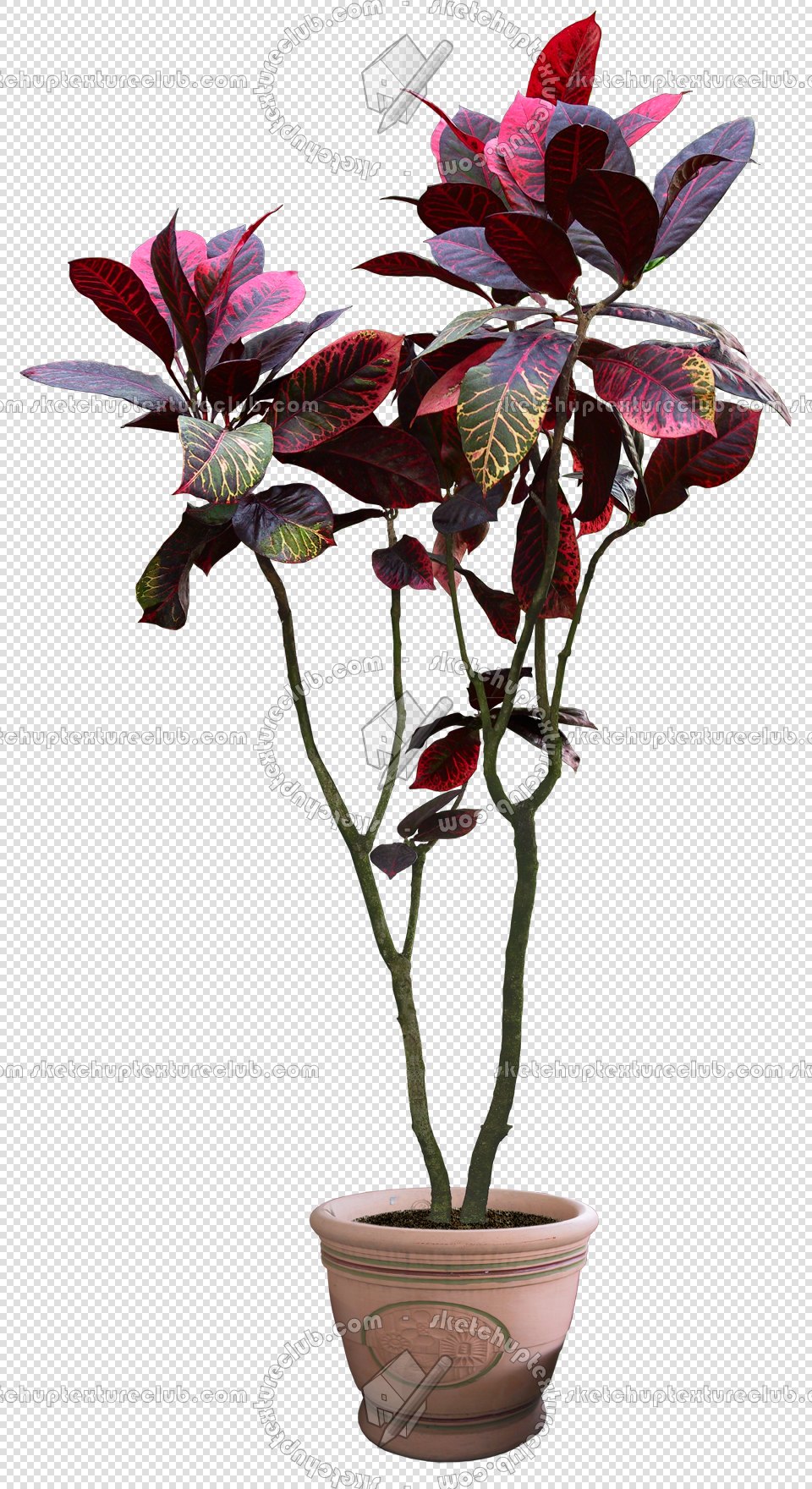 CUT OUT POT PLANTS PACK 2 00017 - pixel 960 x 1760