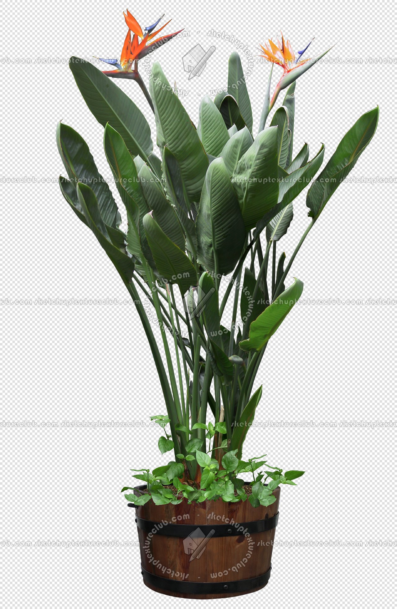 CUT OUT POT PLANTS PACK 2 00017 - pixel 1280 x 1960