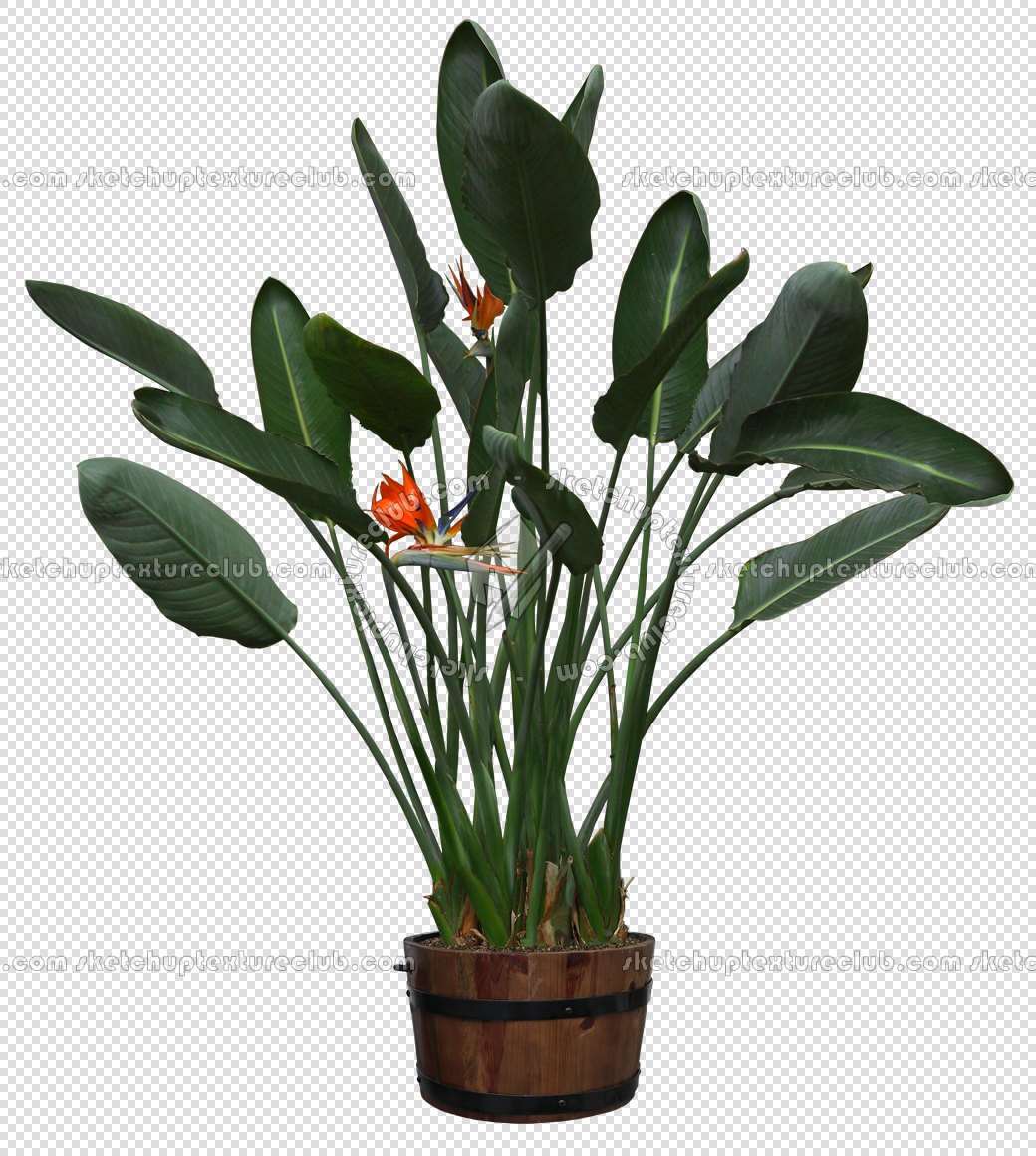 CUT OUT POT PLANTS PACK 2 00017 - pixel 1040 x 1160