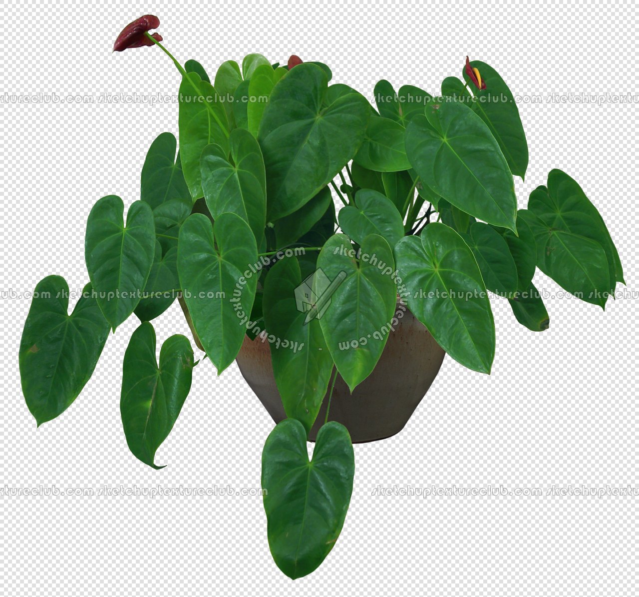 CUT OUT POT PLANTS PACK 3 00018 - pixel 1140 x 1480