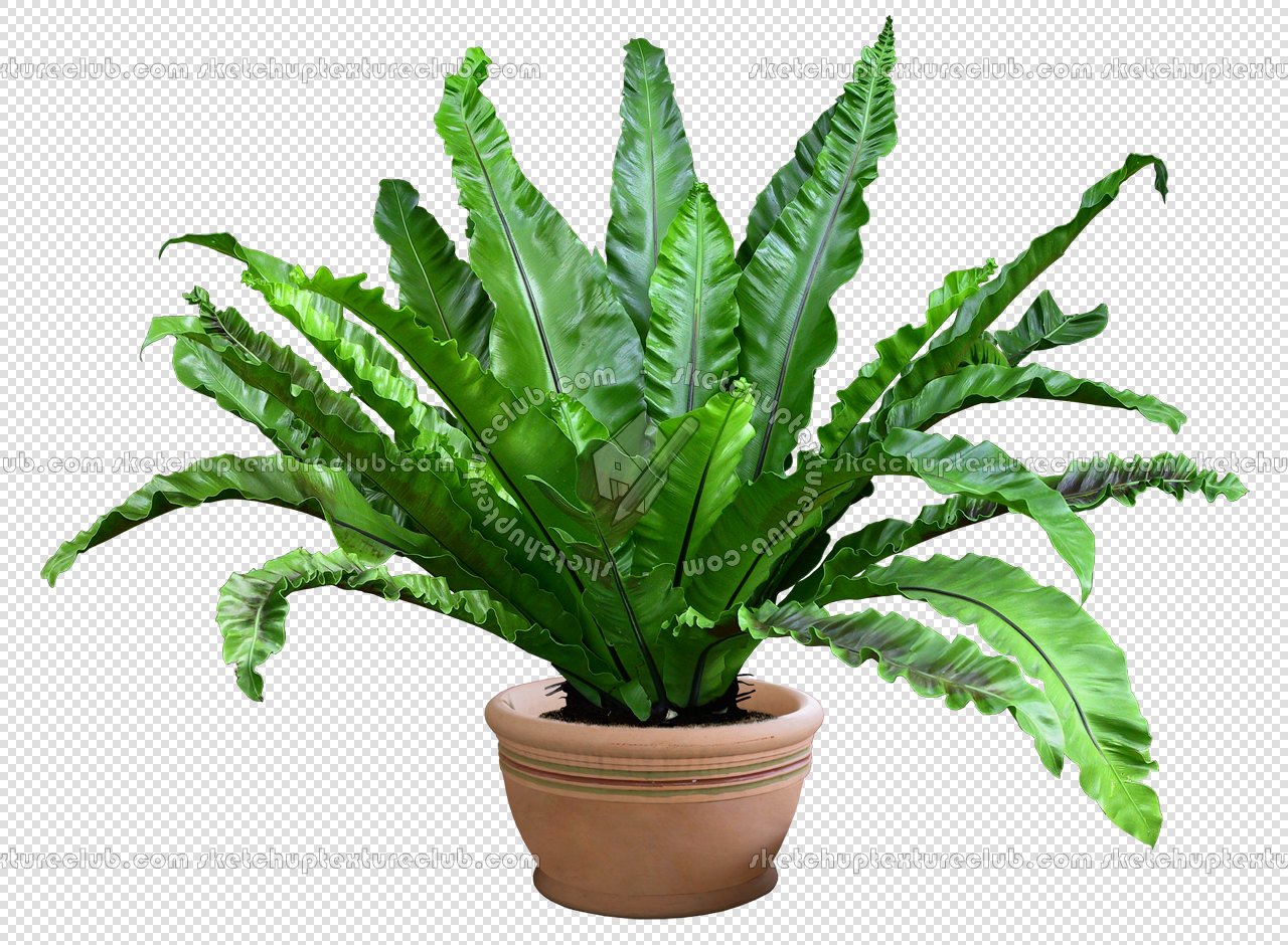 CUT OUT POT PLANTS PACK 3 00018 - pixel 1280 x 940