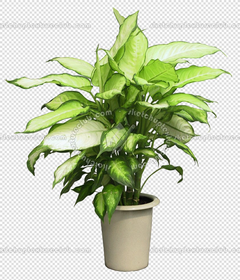 CUT OUT POT PLANTS PACK 3 00018 - pixel 840 x 980