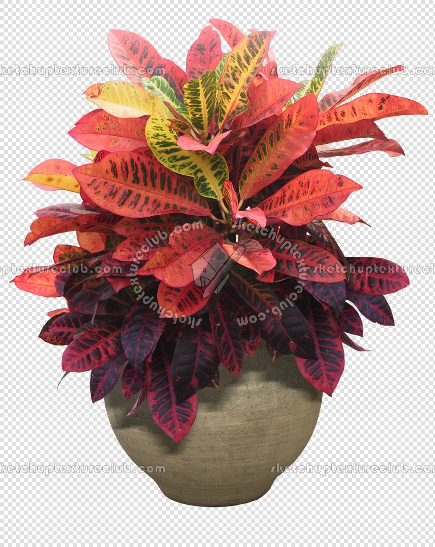 CUT OUT POT PLANTS PACK 3 00018 - pixel 860 x 1080