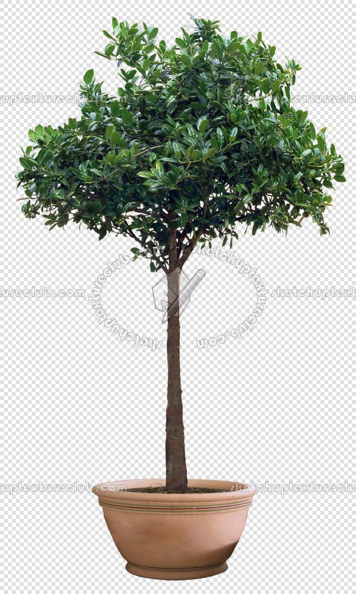 CUT OUT POT PLANTS PACK 3 00018 - pixel 720 x 1200