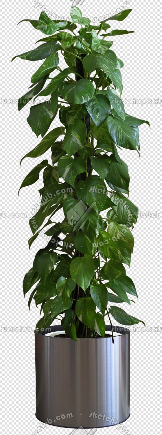 CUT OUT POT PLANTS PACK 3 00018 - pixel 560 x 1500