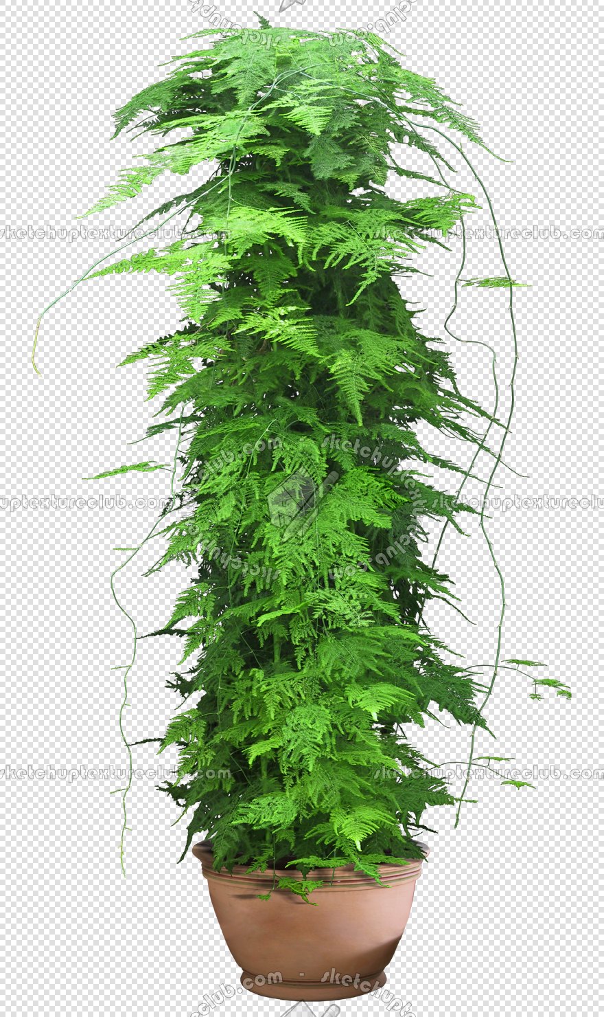 CUT OUT POT PLANTS PACK 3 00018 - pixel 880 x 1480