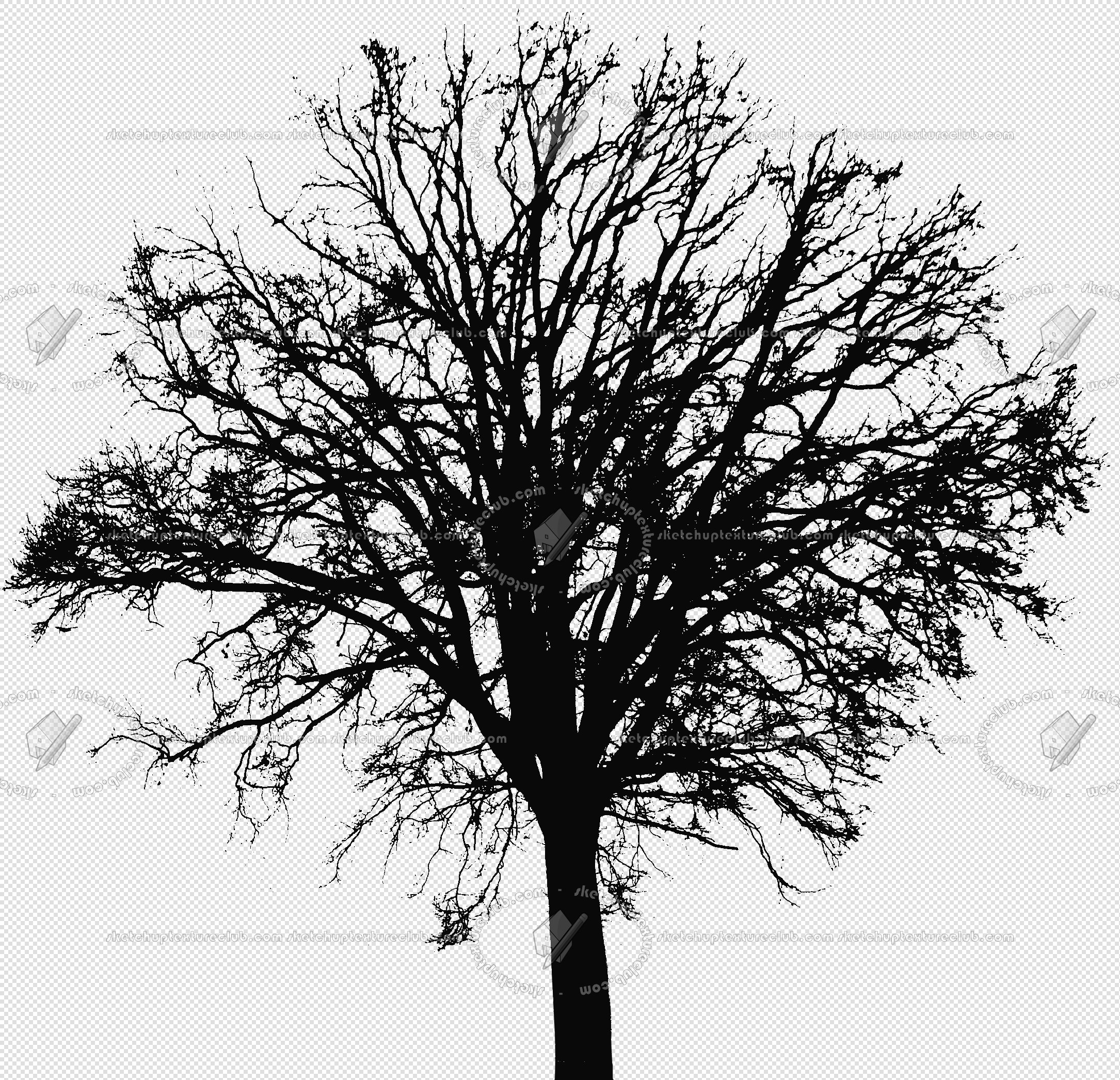 CUT OUT TREES PAKAGE 2 00012 - px 2170x2092