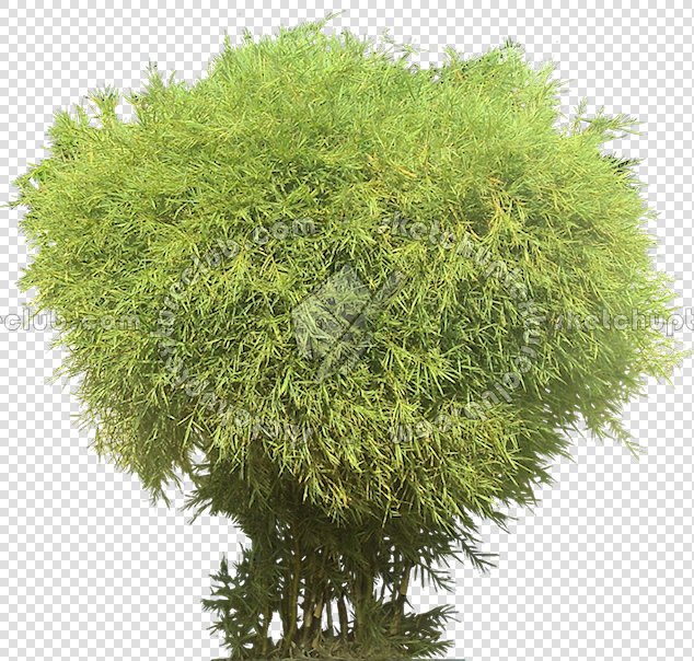 CUT OUT TREES PAKAGE 2 00012 - px 634x604