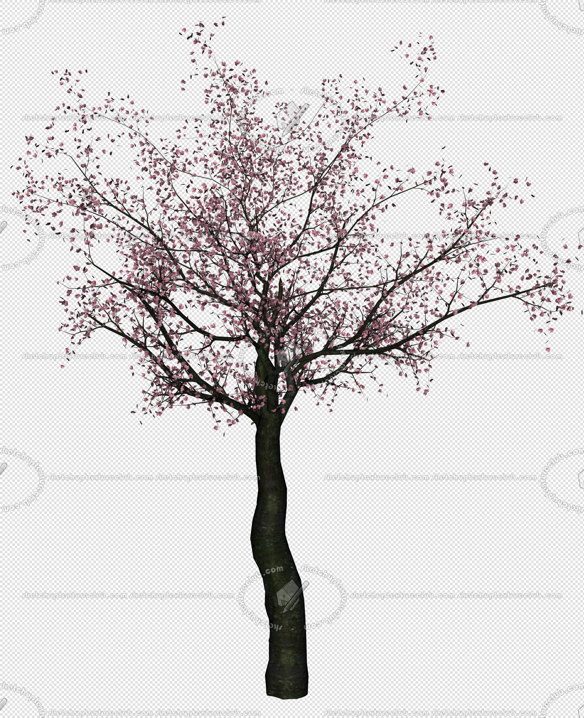 CUT OUT TREES PAKAGE 2 00012 - px 1900x2336