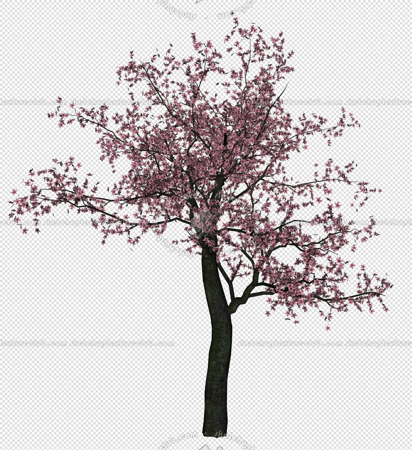 CUT OUT TREES PAKAGE 2 00012 - px 1343x1467