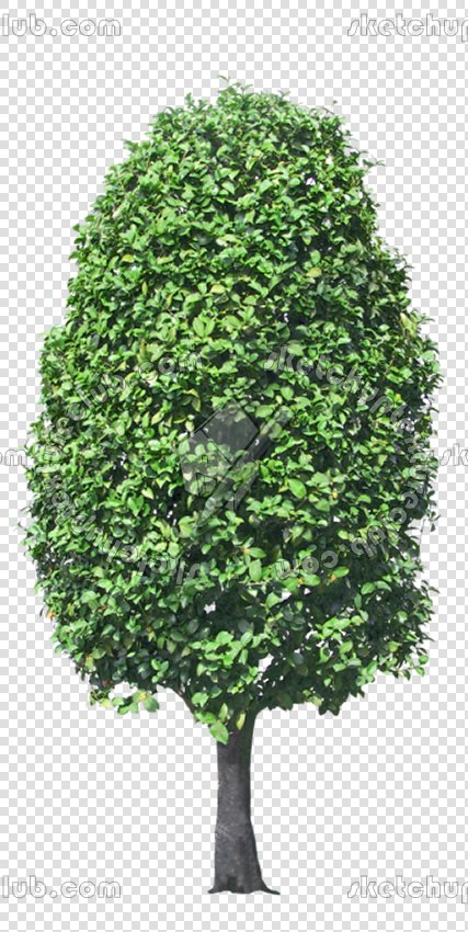 CUT OUT TREES PAKAGE 2 00012 - px 427x850