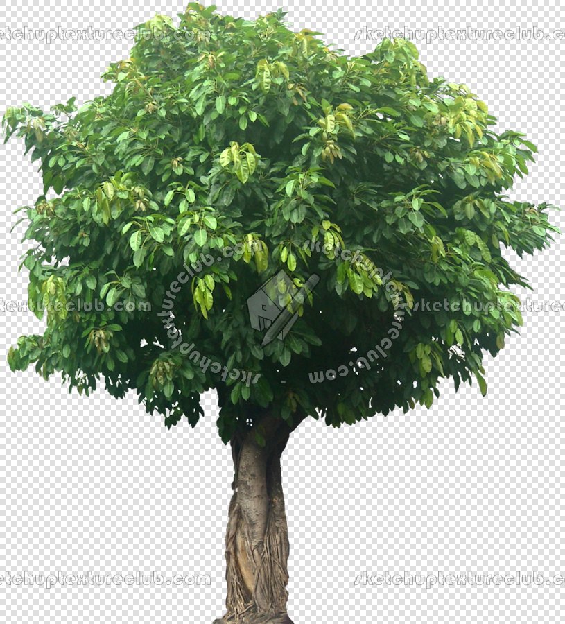 CUT OUT TREES PACKAGE 3 00015 - pixel 815 x 900