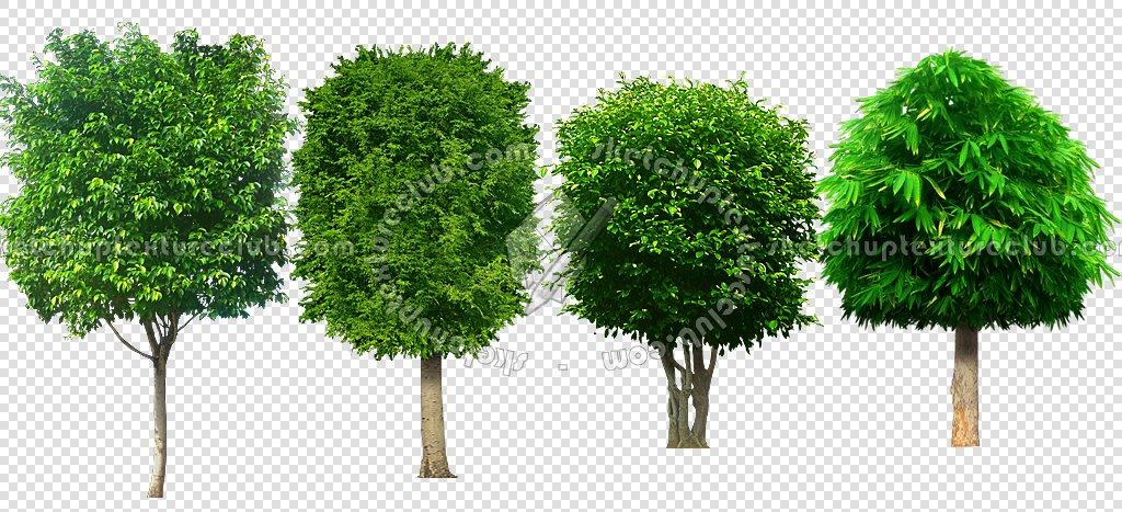 CUT OUT TREES PACKAGE 3 00015 - pixel 1024 x 467