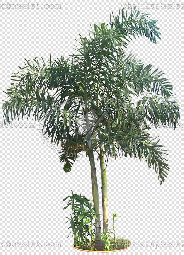 CUT OUT TREES PACKAGE 3 00015 - pixel 609 x 841