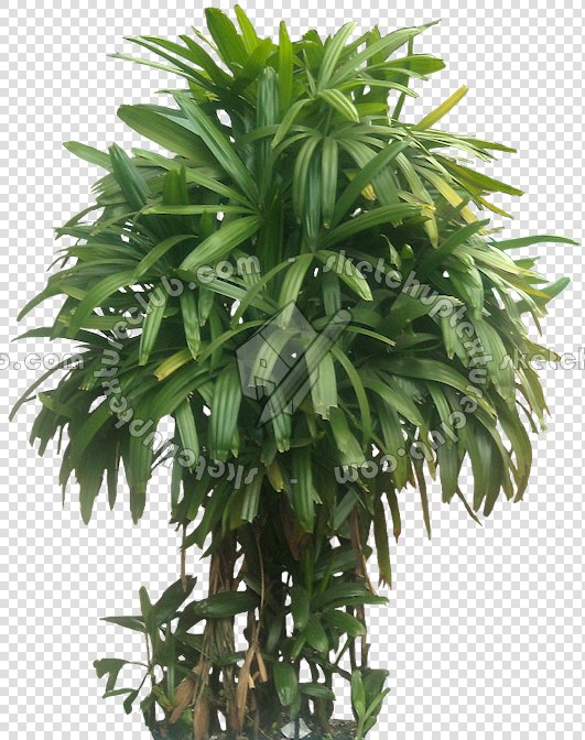 CUT OUT TREES PACKAGE 3 00015 - pixel 531 x 672