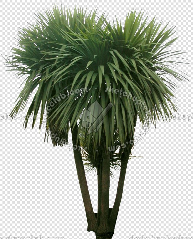 CUT OUT TREES PACKAGE 4 00019 - Pixel 623 x770