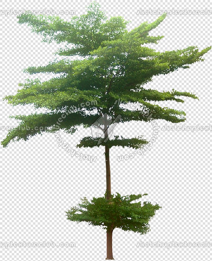 CUT OUT TREES PACKAGE 4 00019 - Pixel 719 x 883