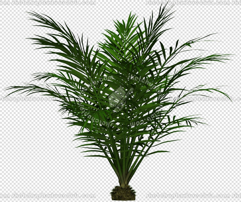 CUT OUT PALMS PACK 1 00046 - palm cut out pixel 982 x 822