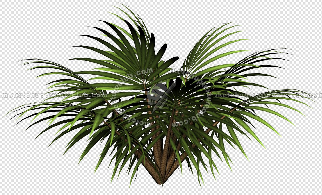 CUT OUT PALMS PACK 1 00046 - palm cut out pixel 1130 x 687