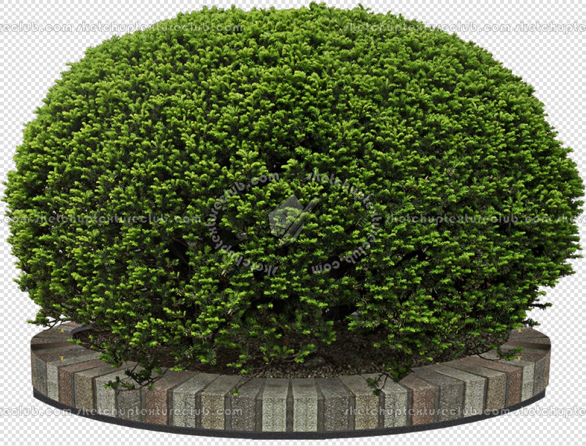 CUT OUT SHRUBS PACK 1 00020 - Pixel 1200 x 913