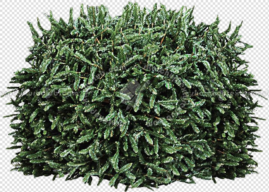 CUT OUT SHRUBS PACK 1 00020 - Pixel 900 x 644