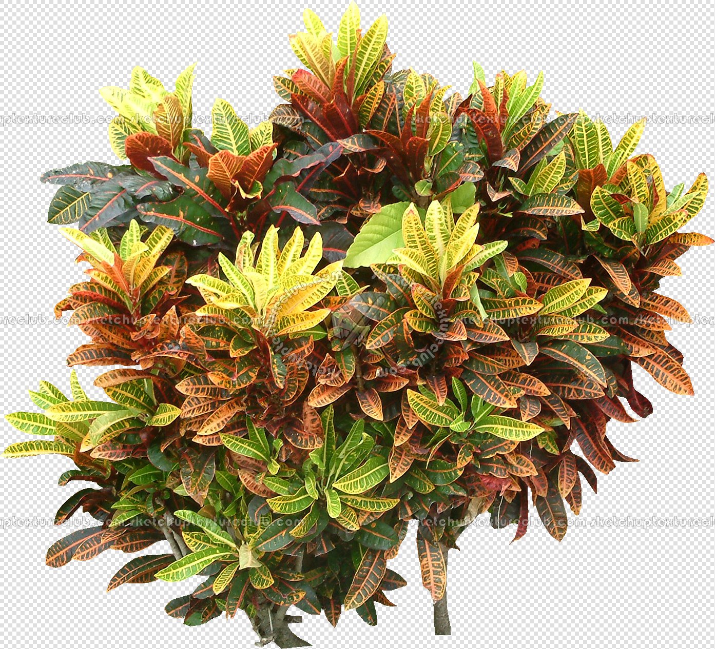 CUT OUT SHRUBS PACK 3 00022 - Pixel 1939 x 1266