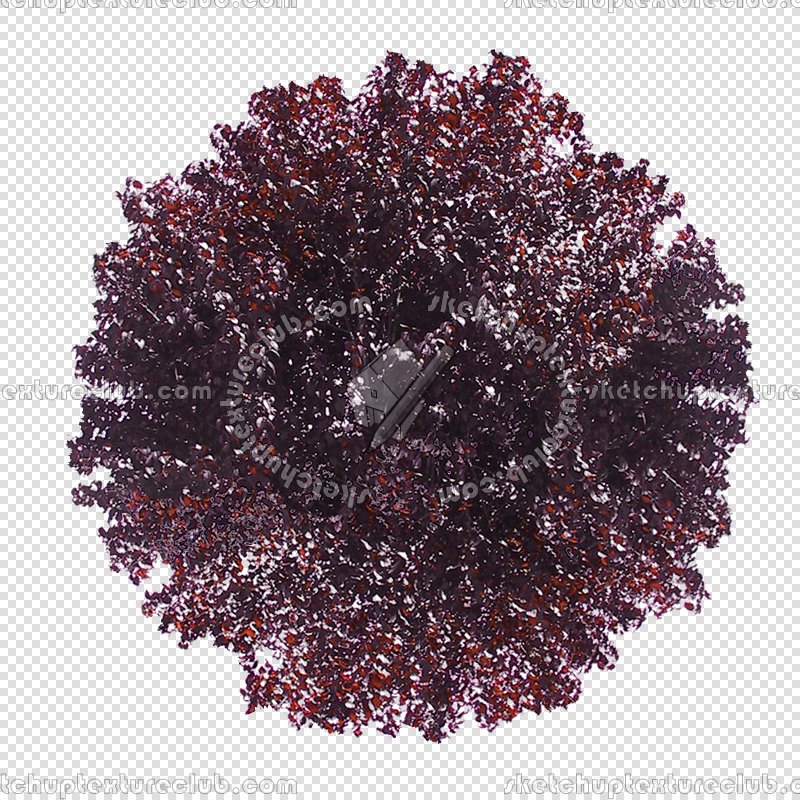 CUT OUT SHRUBS PACK 3 00022 - Pixel 800 x 800