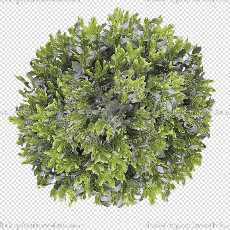 CUT OUT SHRUBS PACK 3 00022 - Pixel 800 x 800