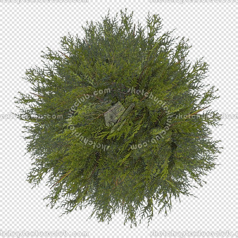 CUT OUT SHRUBS PACK 3 00022 - Pixel 800 x 800