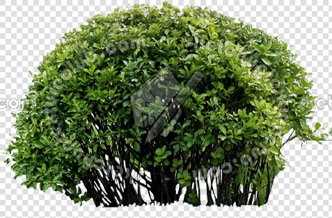 CUT OUT SHRUBS PACK 3 00022 - Pixel 477 x 314