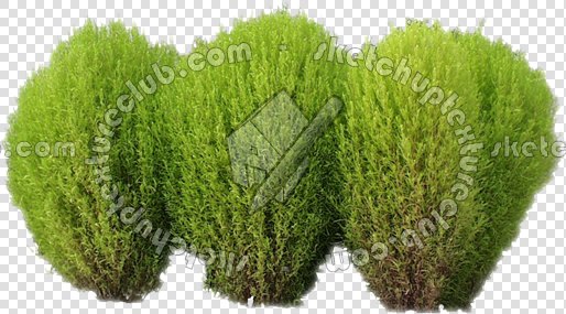 CUT OUT SHRUBS PACK 3 00022 - Pixel 514 x 285