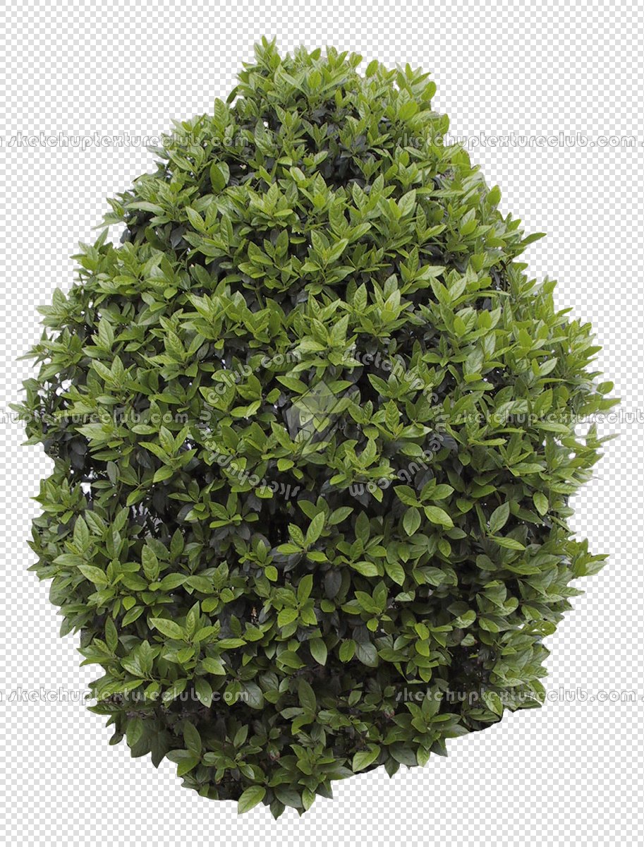 CUT OUT SHRUBS PACK 3 00022 - Pixel 913 x 1200