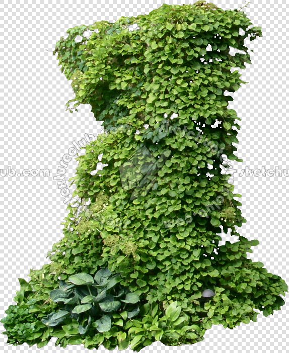 CUT OUT SHRUBS & HEDGES PACK 4 00023 - cut out shrub pack 4.12 pixel 574 x 702