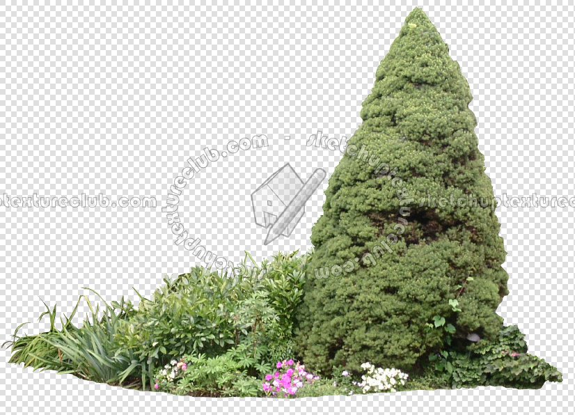 CUT OUT SHRUBS & HEDGES PACK 4 00023 - cut out shrub pack 4.14 pixel 826 x 596