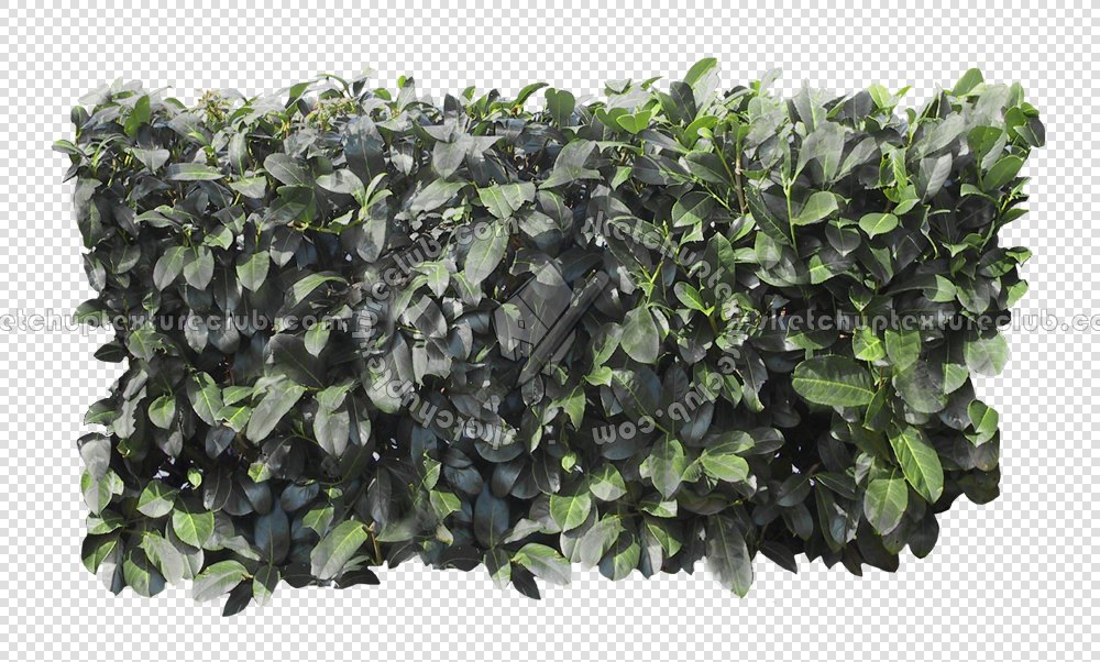 CUT OUT SHRUBS & HEDGES PACK 4 00023 - cut out hedge pack 4.18 pixel 1000 x 602