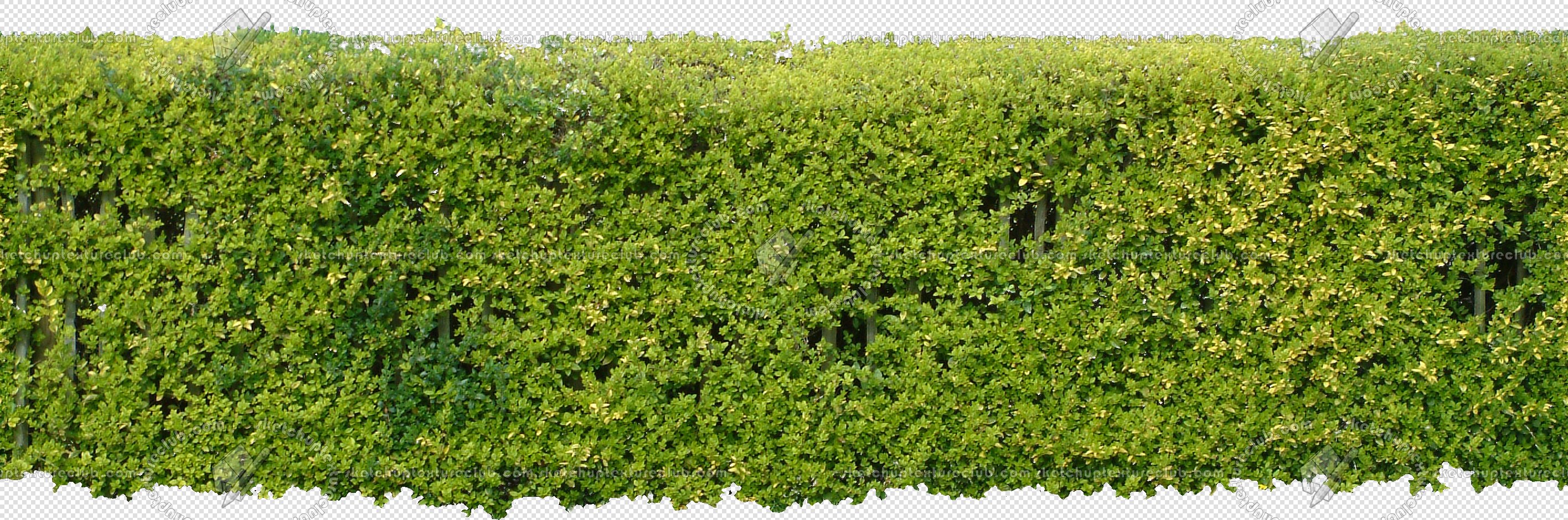 CUT OUT SHRUBS & HEDGES PACK 4 00023 - cut out hedge pack 4.22 pixel 2832 x 940