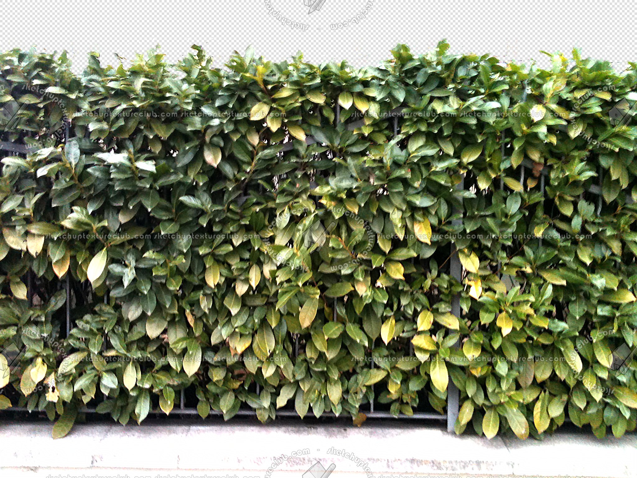 CUT OUT SHRUBS & HEDGES PACK 4 00023 - cut out hedge pack 4.4 pixel 2048 x 1536