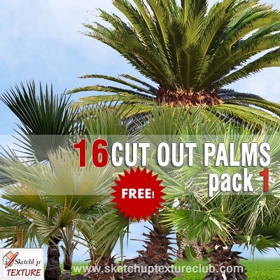 Packs   -   CUT OUT   -   Vegetation   -  Trees - CUT OUT PALMS PACK 1 00046