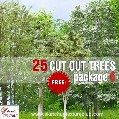 Packs  - CUT OUT TREES PACK 6 00041