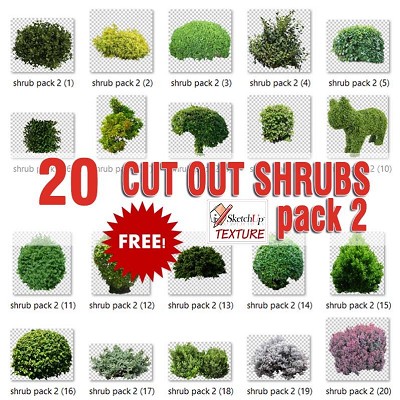 Packs   -   CUT OUT   -   Vegetation   -  Shrubs - CUT OUT SHRUBS PACK 2 00021