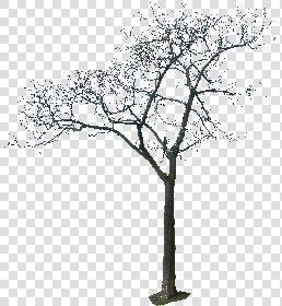 CUT OUT WINTER TREES PACK 1 00036 - 1 - cut out winter trees pack 1 - px 1875x2032