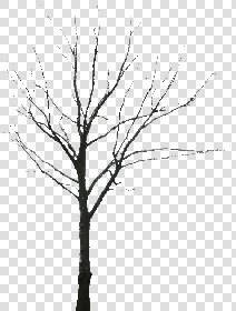 CUT OUT WINTER TREES PACK 2 00039 - 16 - cut out winter tree px 1426x1880