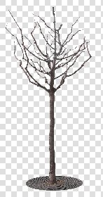 CUT OUT WINTER TREES PACK 2 00039 - 20 - cut out winter tree px 976x1856